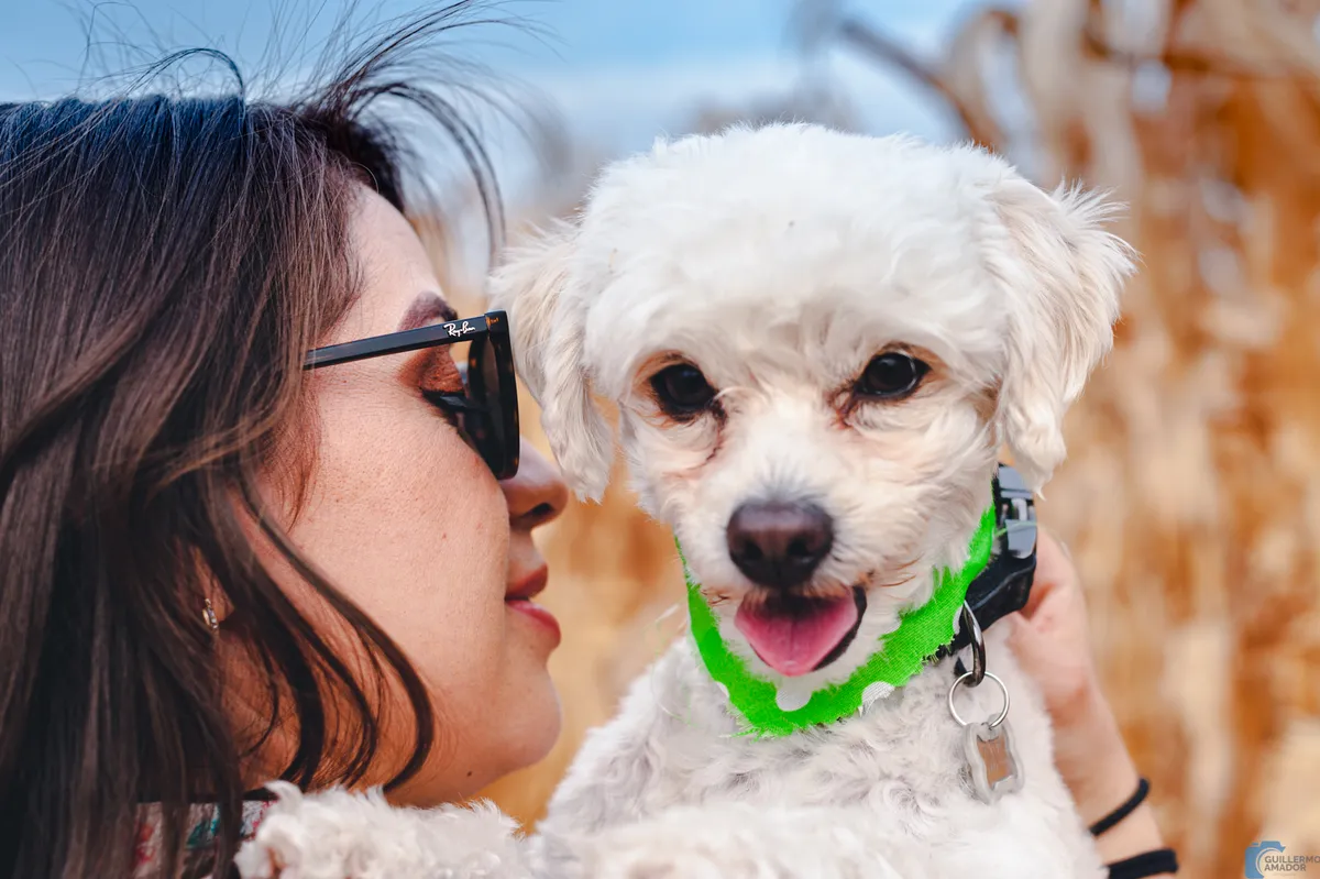Mujer con lentes de sol junto a un perro blanco de collar verde que sostiene cerca de su rostro, con fondo dorado desenfocado.